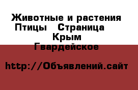 Животные и растения Птицы - Страница 2 . Крым,Гвардейское